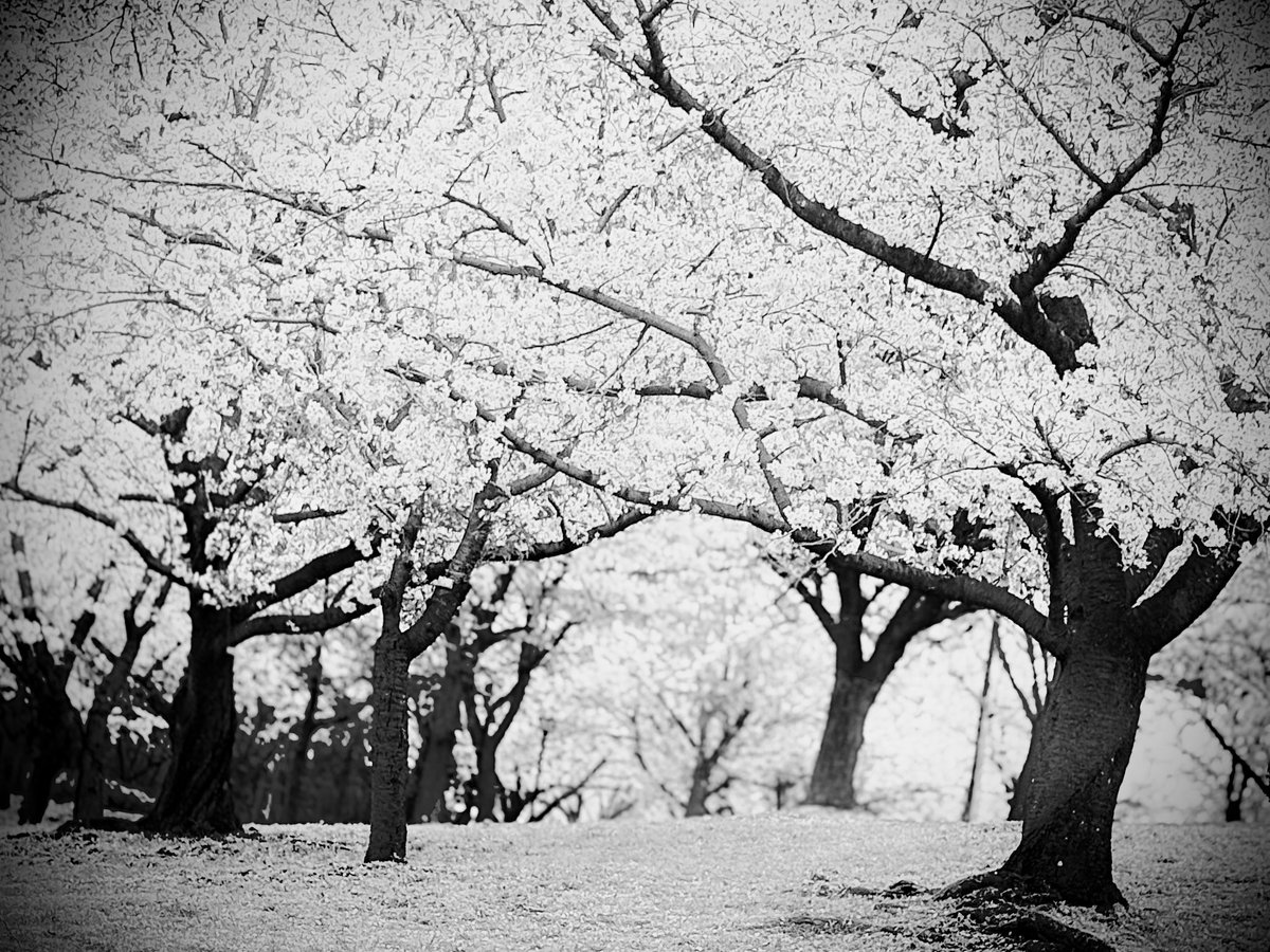 岡村渉 tweet media