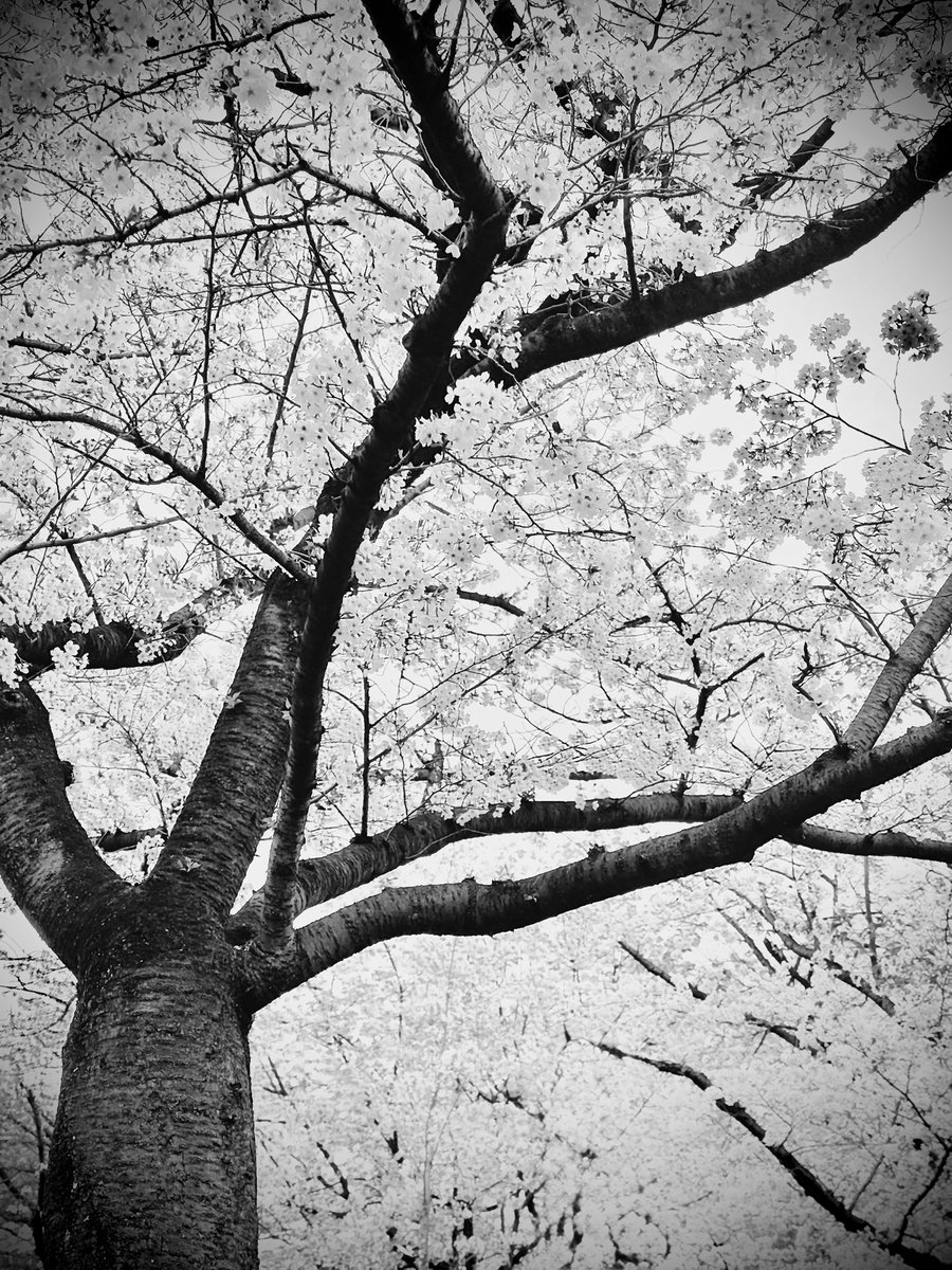 岡村渉 tweet media