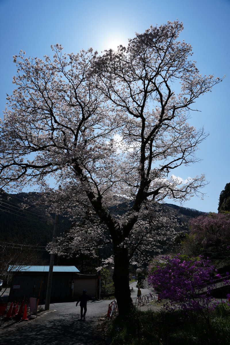 んなぁちゃん tweet media