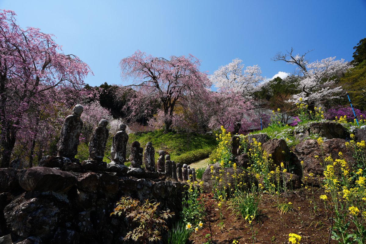 んなぁちゃん tweet media