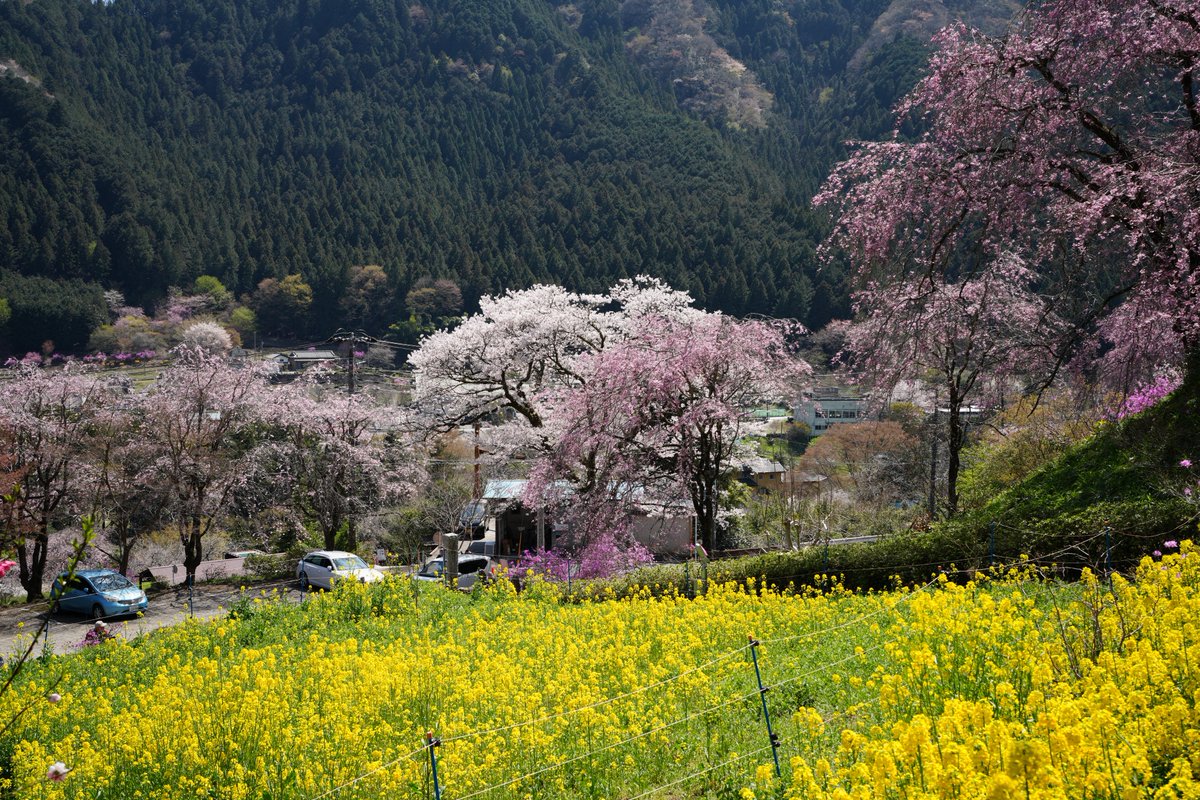 んなぁちゃん tweet media