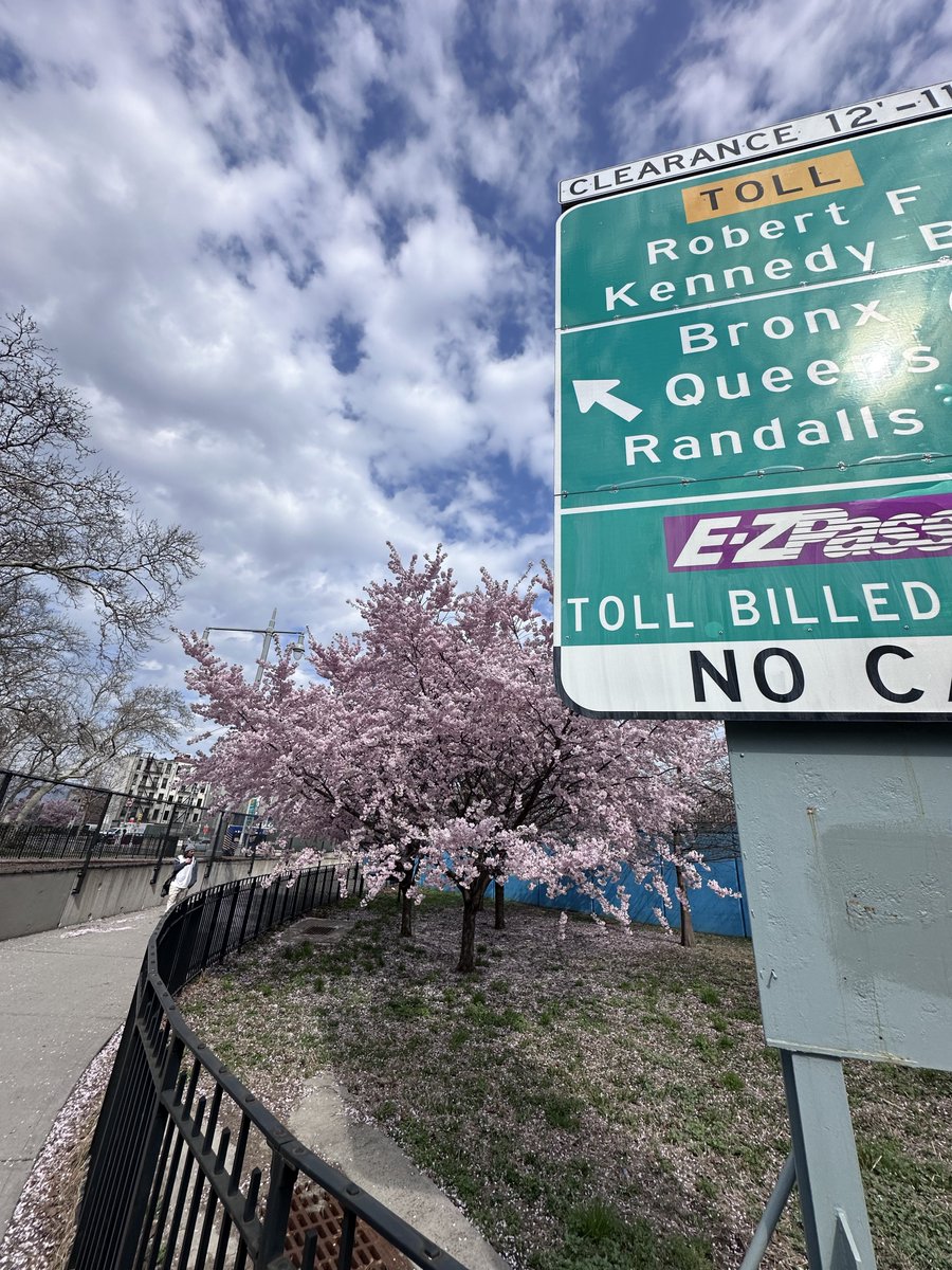 Panagiotis Andreou tweet media