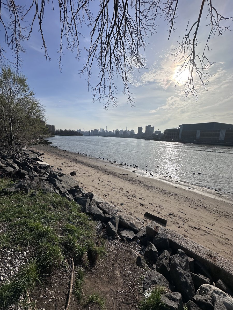 Panagiotis Andreou tweet media