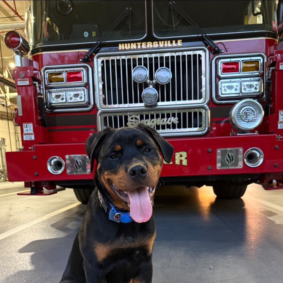 Huntersville Fire tweet media