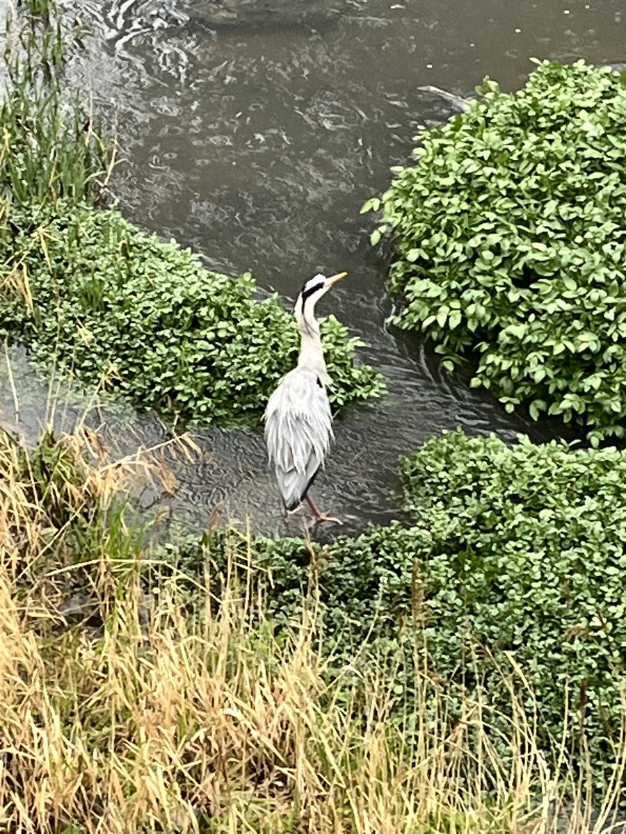 もんじ tweet media