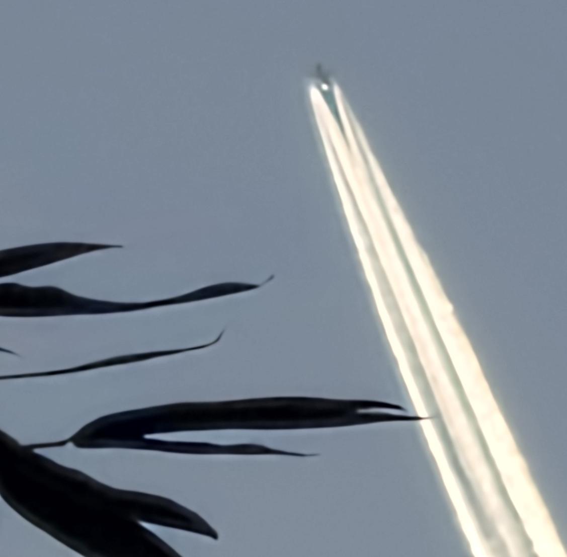 Anti Lockdown Alliance(GLOBAL) tweet media