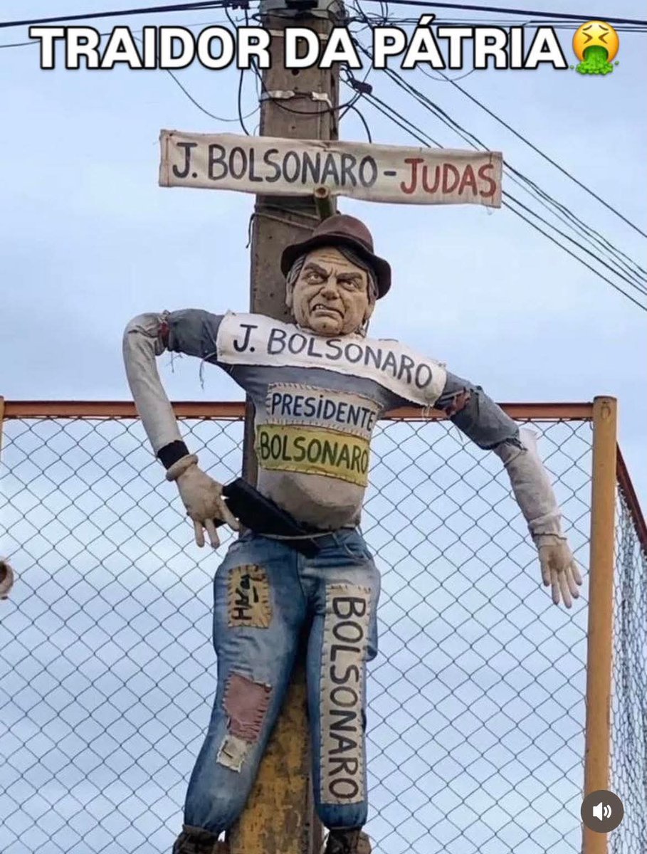 Emília Teixeira M tweet media