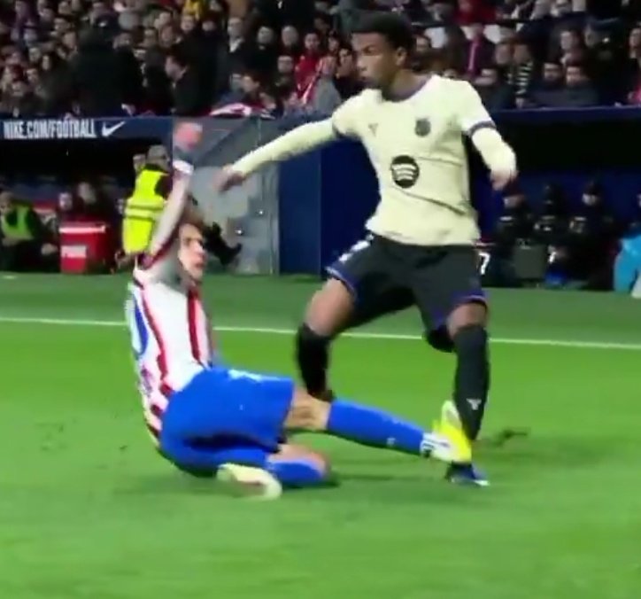 Salvoxea tweet media