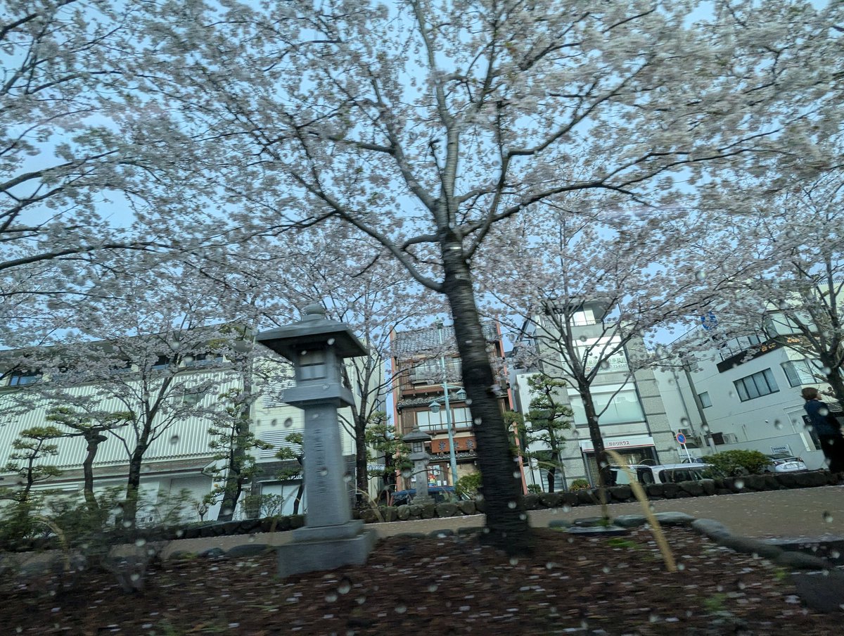 鎌倉PRESS tweet media