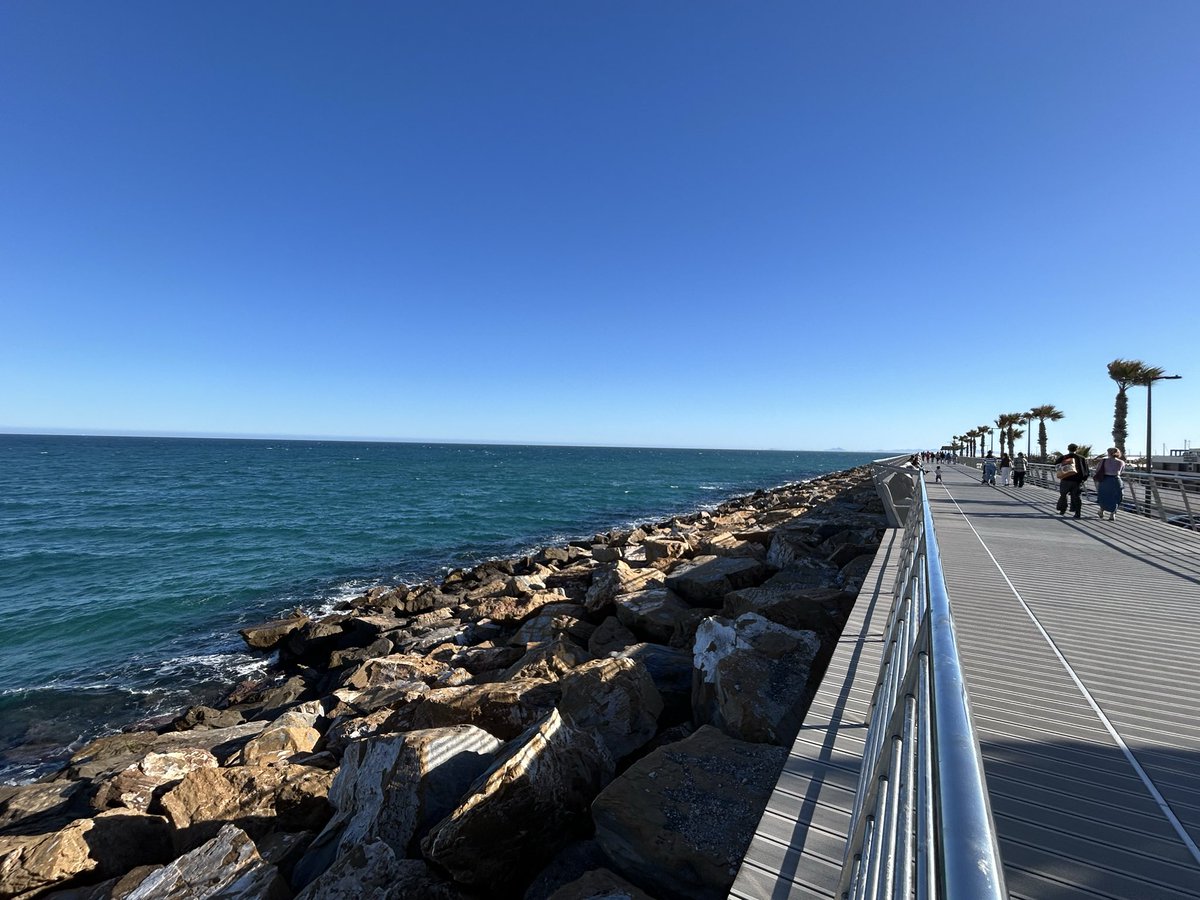 maria teresa garcia segura tweet media