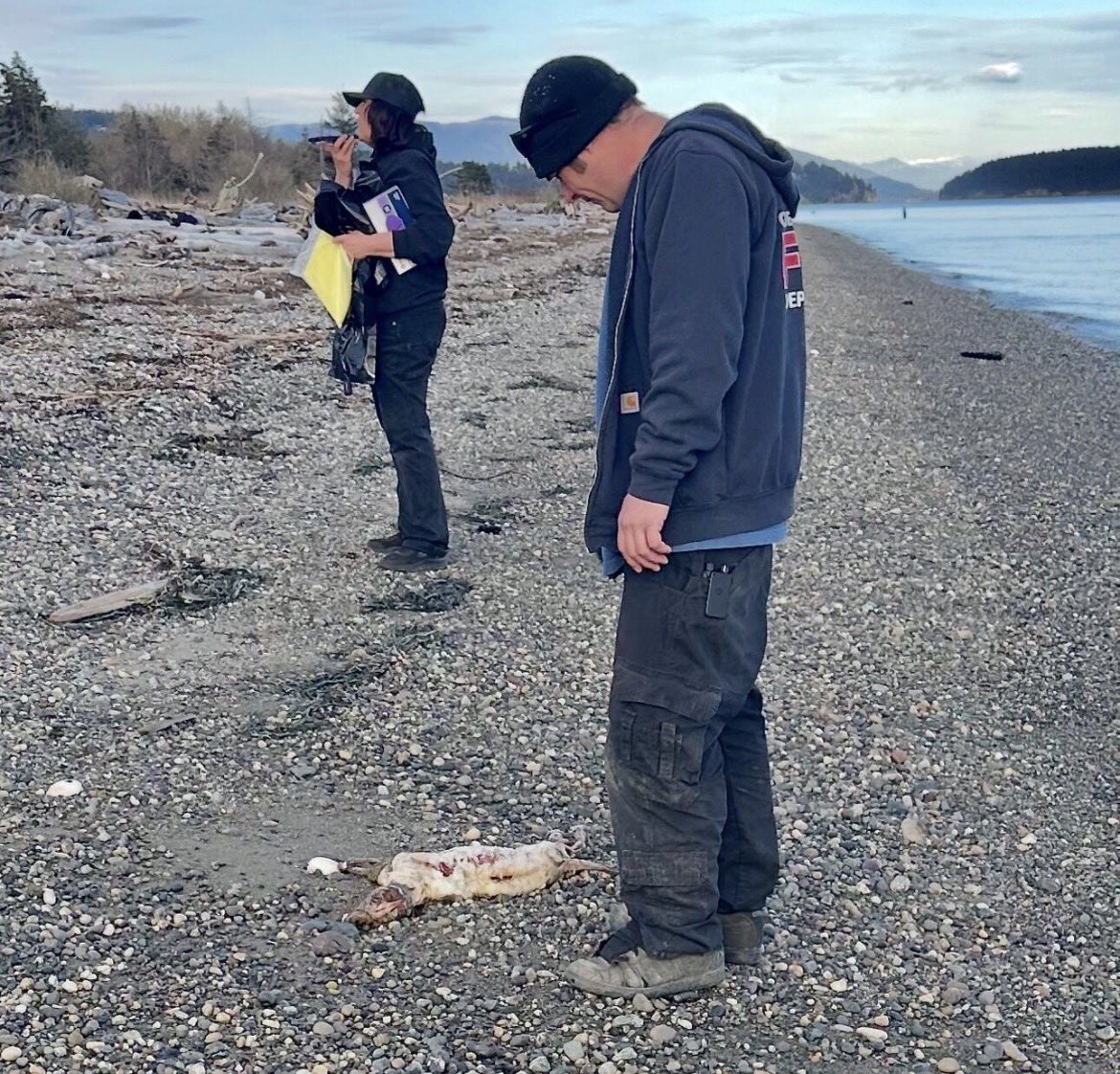 ♥️🇺🇸 𝓒𝓪𝓽𝓲𝓪 🇮🇹♥️ tweet media