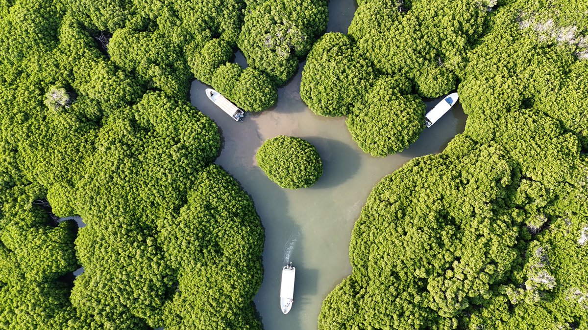 📸ᶫعبدالمجيدᶥ tweet media