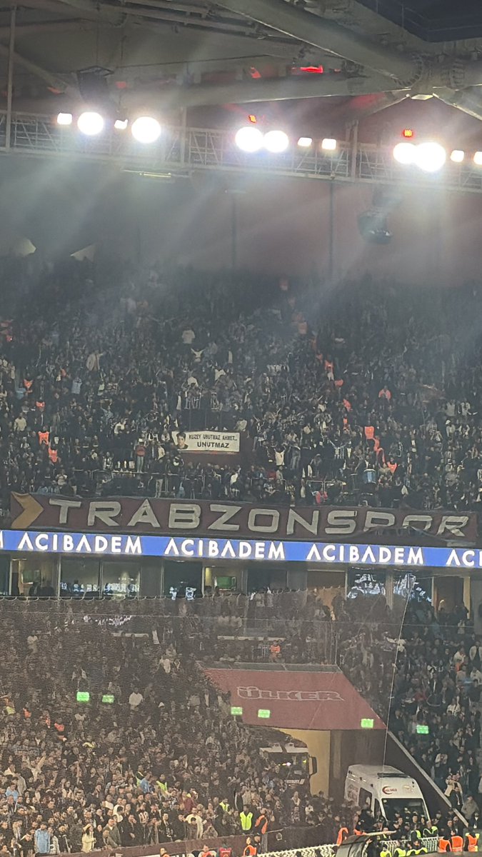 Ayşenur Afyon tweet media