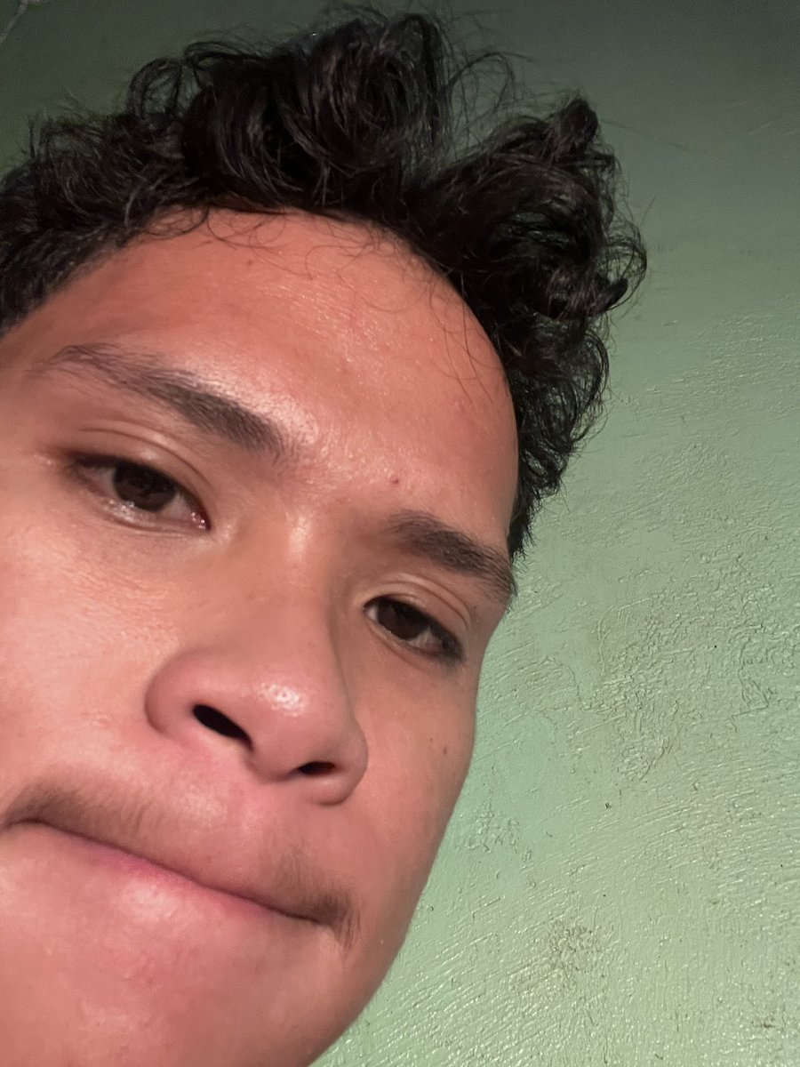 joo 🐶 tweet media