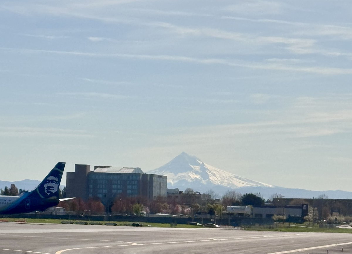 Ms-Misty tweet media