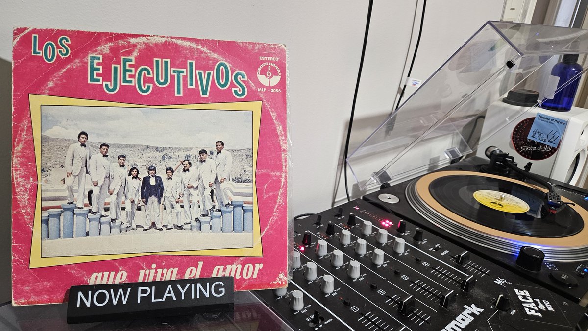 where did she fly tweet media