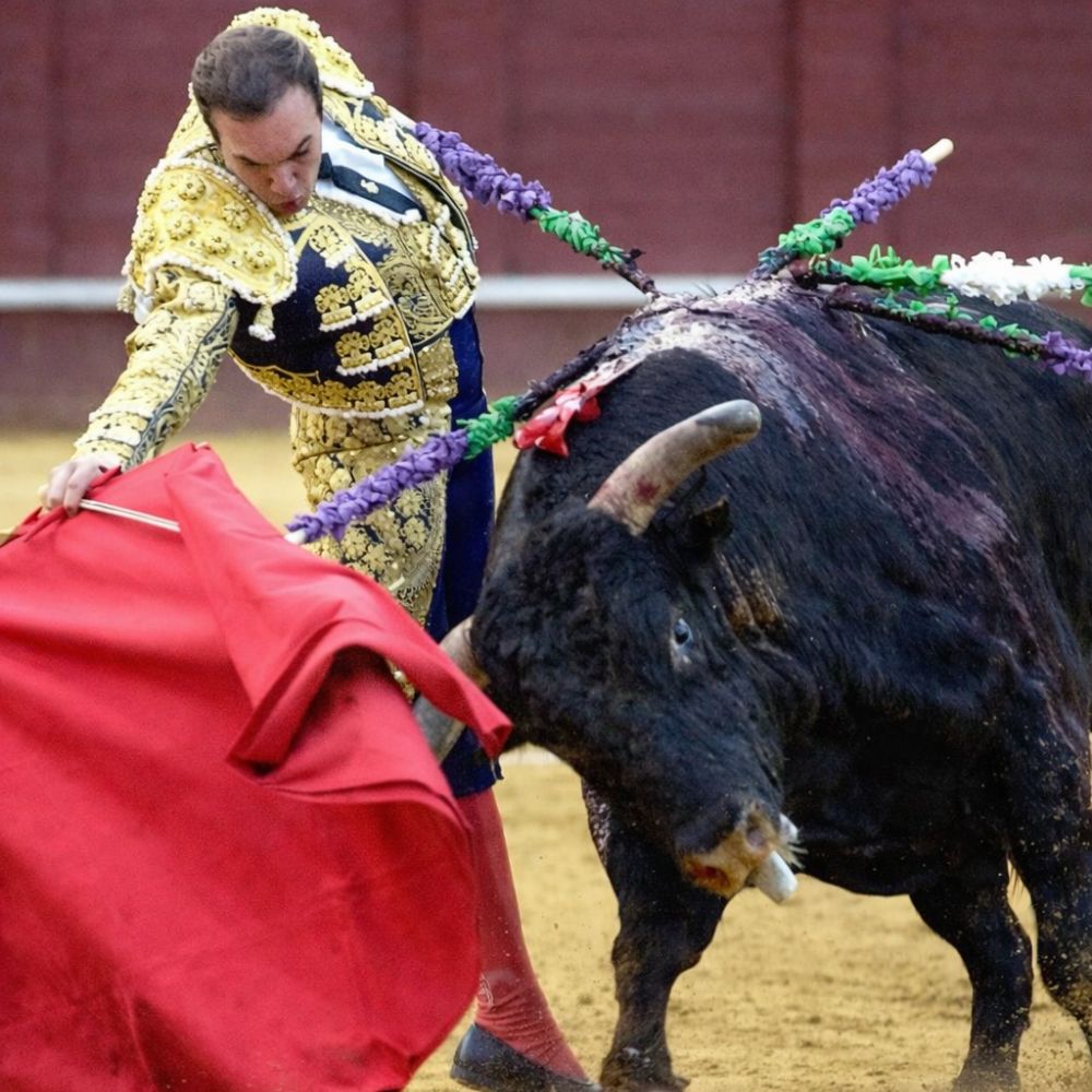 Enséñame de Ciencia tweet media