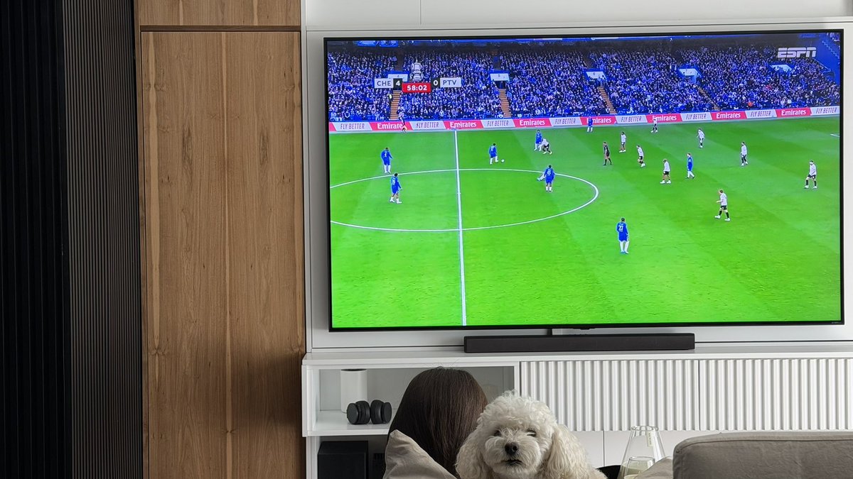 Lady Market tweet media