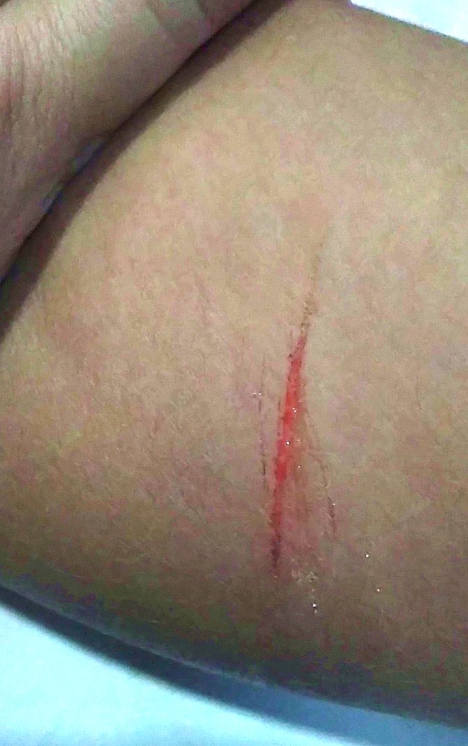 𐔌 ﹒ mime ♡f shedtwt ◞ tweet media