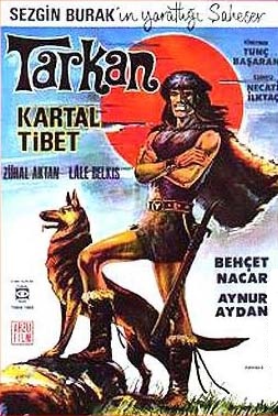 ahmet zekai tweet media