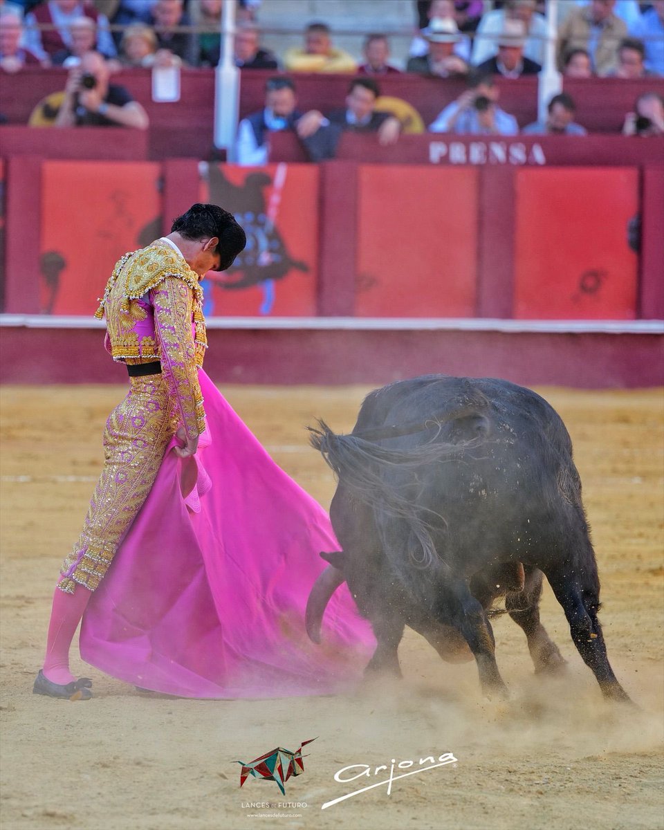 Corinto y Oro tweet media