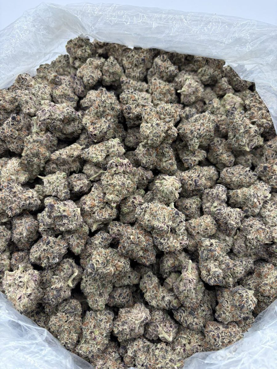 sincity seeds tweet media