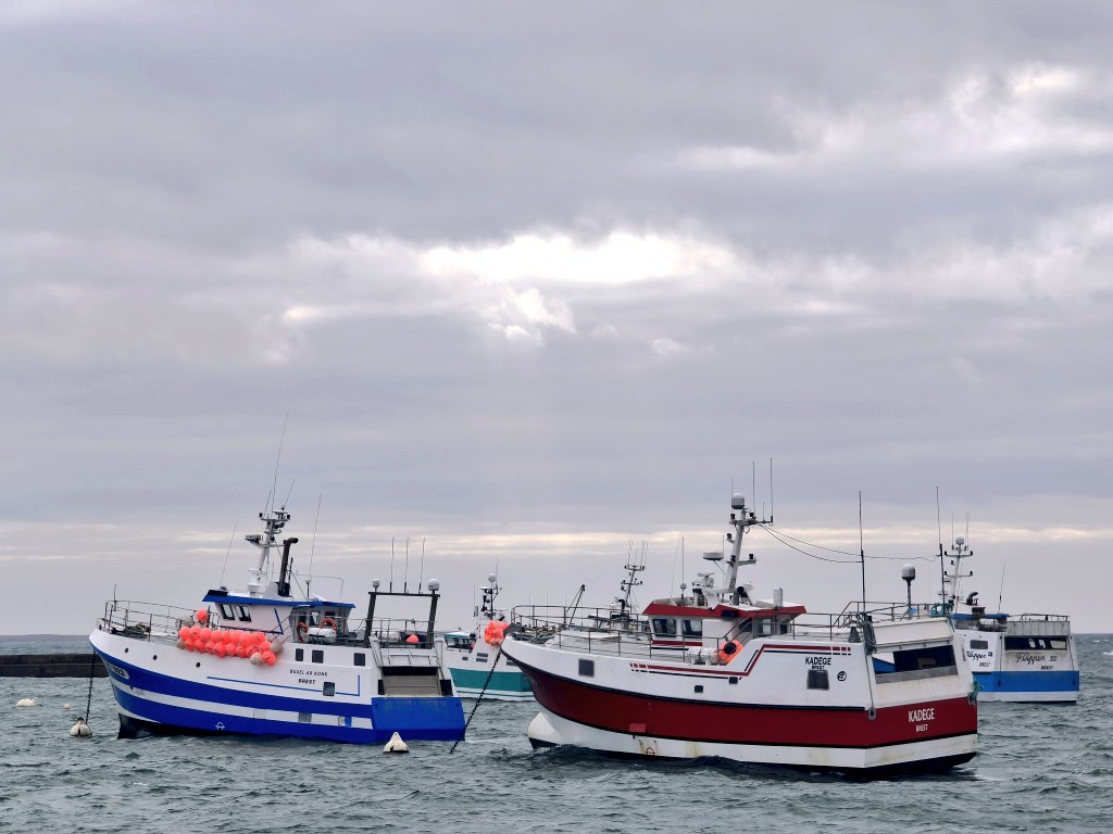 ariel STRABONI tweet media