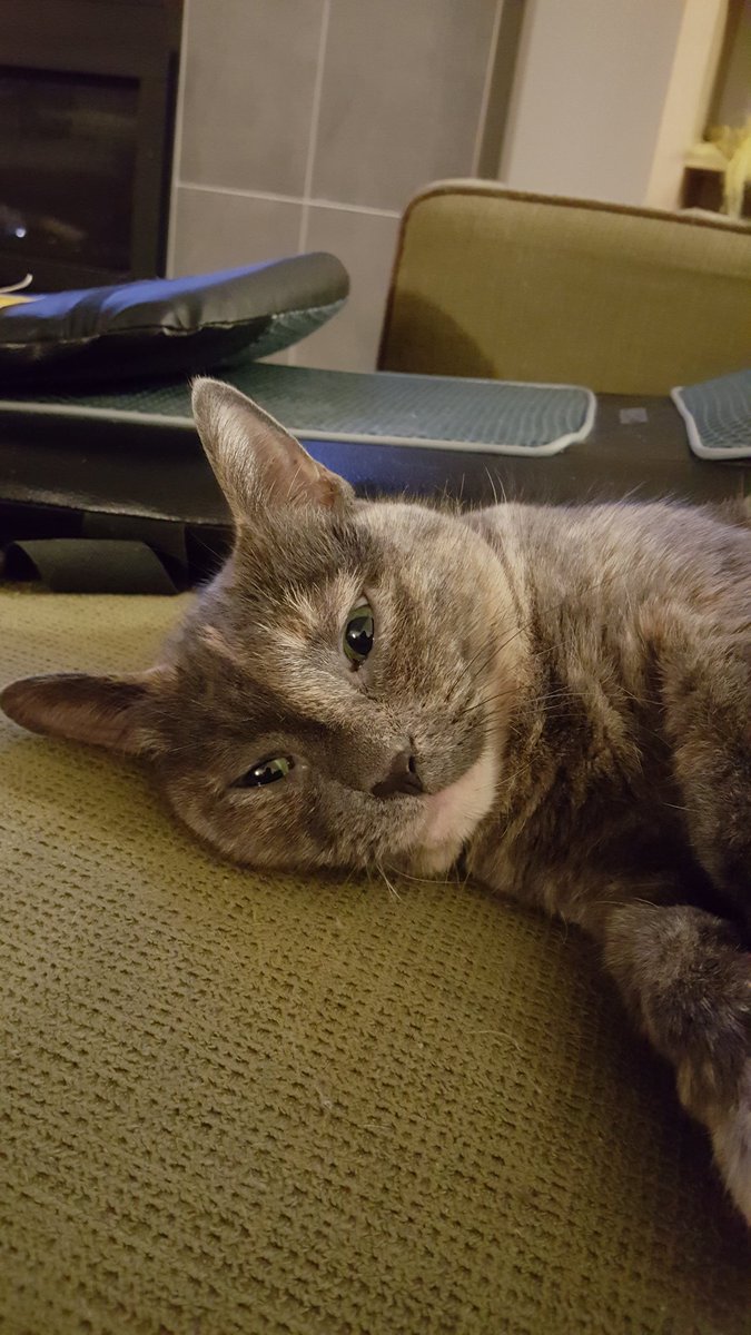 Scrapper tweet media