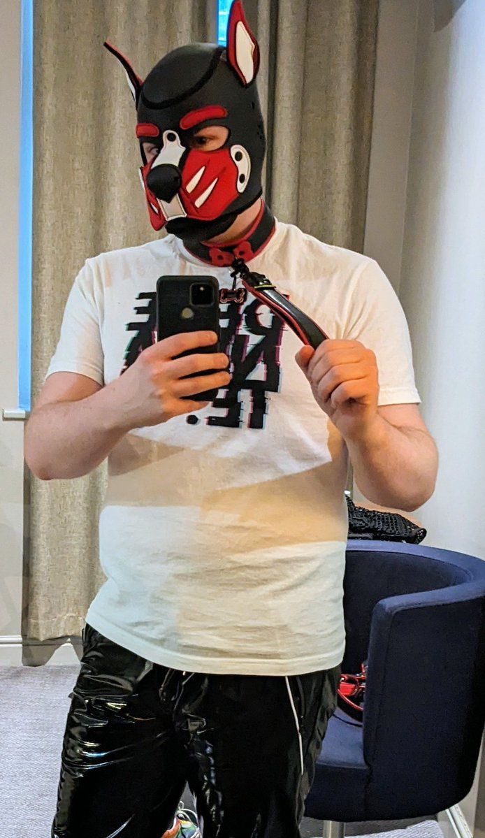 Pup Scev tweet media