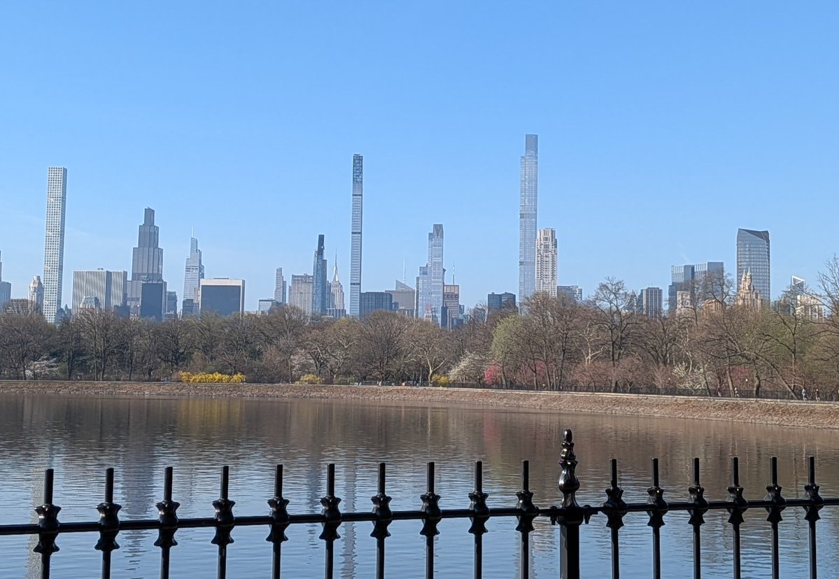 Tanya Weiman 🧀 tweet media