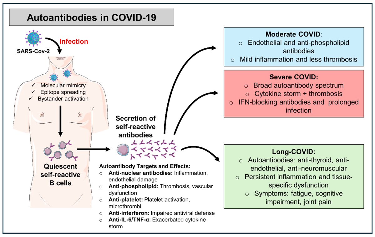 Vipin M. Vashishtha tweet media