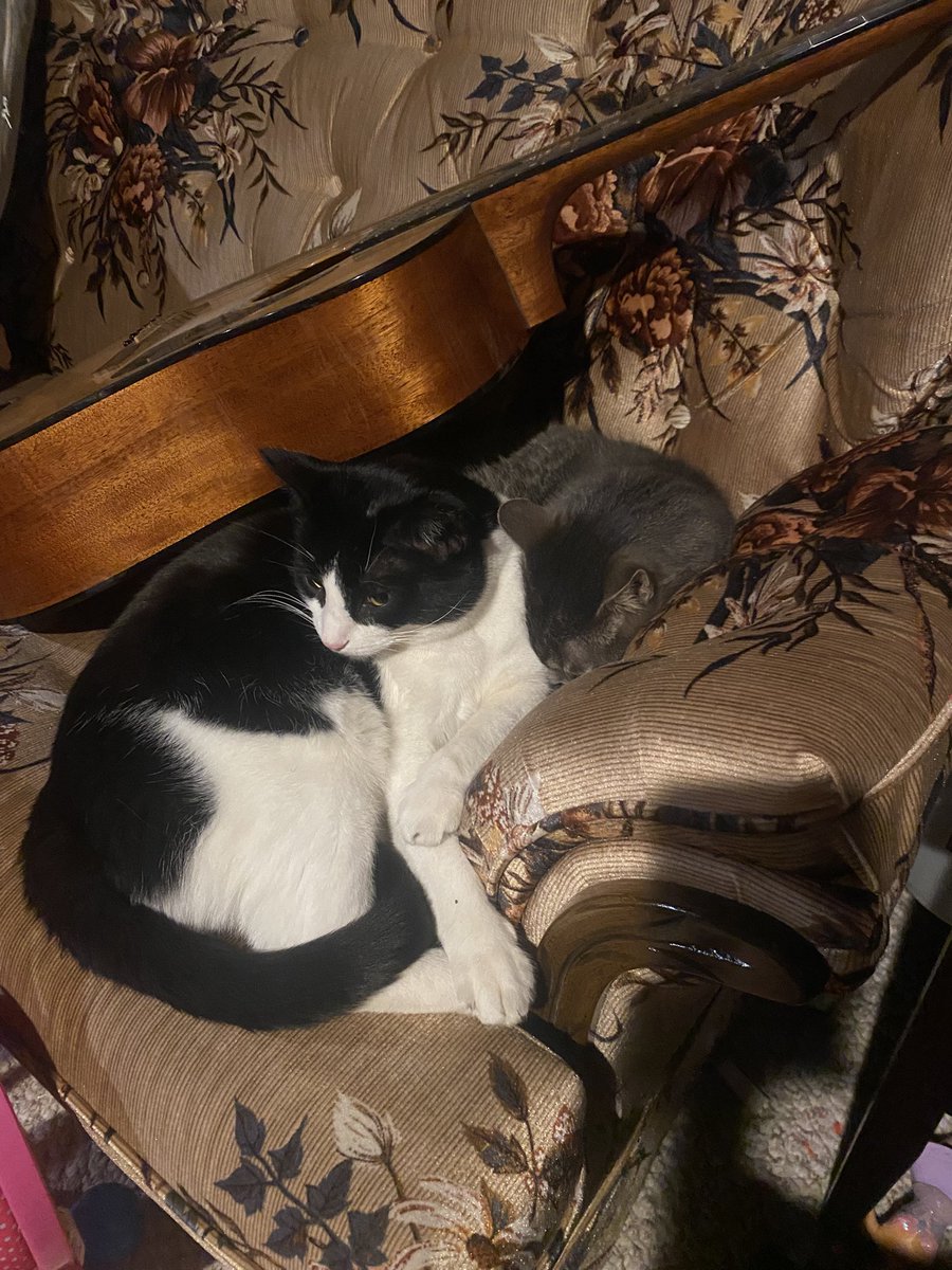 Danny Danger X tweet media