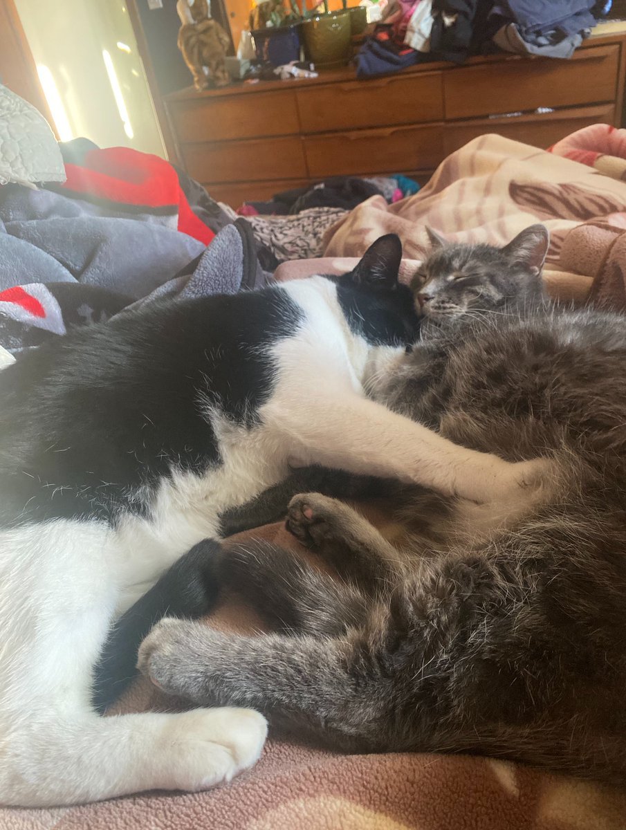 Danny Danger X tweet media