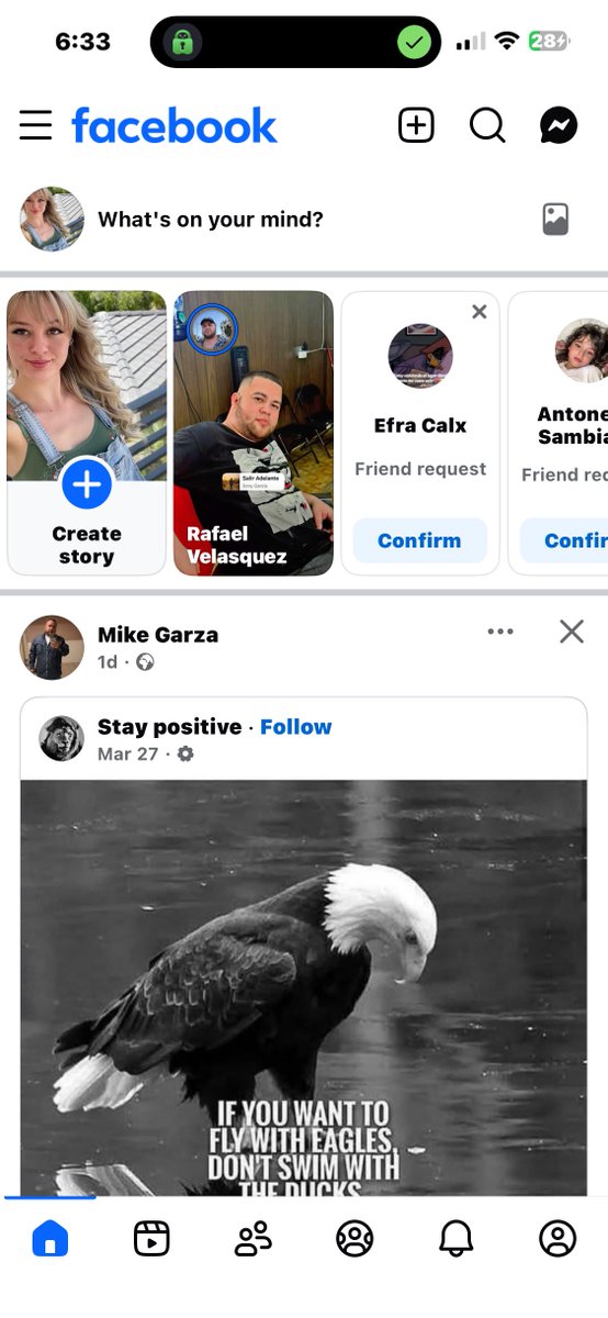 The Crow 🐦‍⬛ tweet media