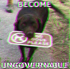 Simon gustard tweet media