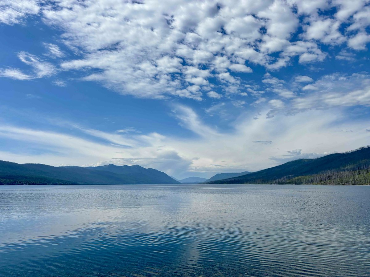 Reilly Neill tweet media