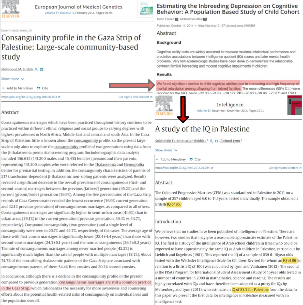 ProLibertateSemper tweet media