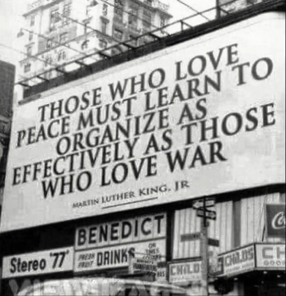 Grumpy Rabbit (Alan Lovejoy) tweet media