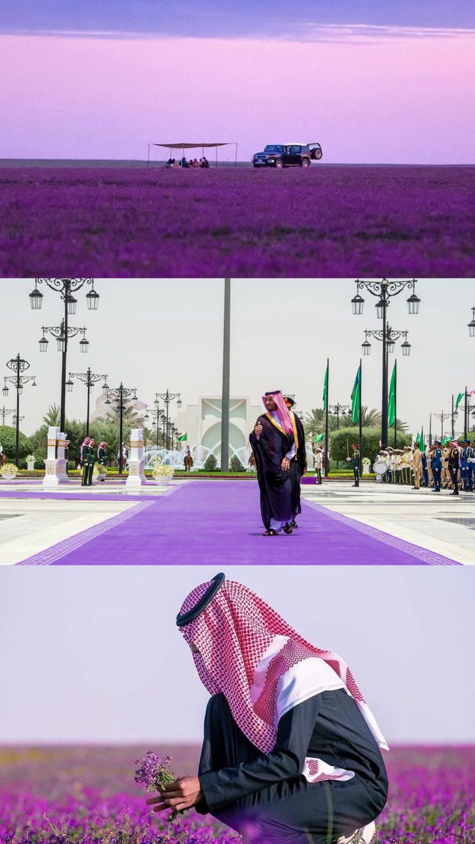 بداح tweet media