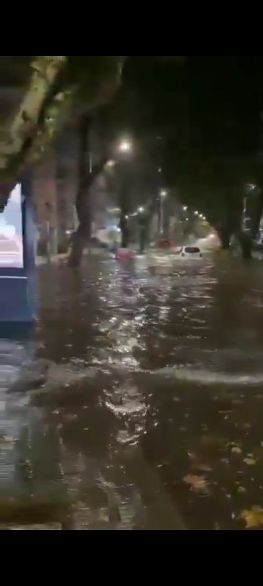 Sebastián ACAB ✊ tweet media