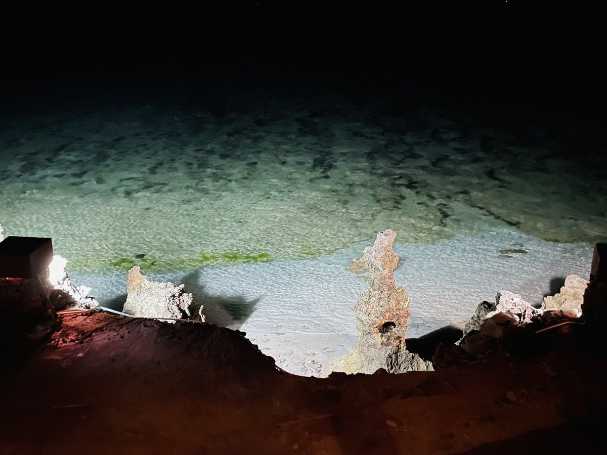 Henry Dan tweet media