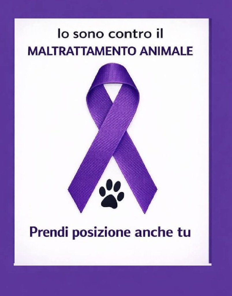 Clemente del Monaco tweet media