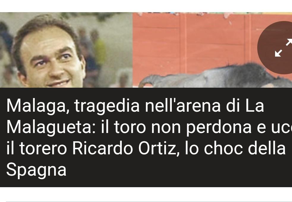 Loretta modenese in Sicilia👍 tweet media