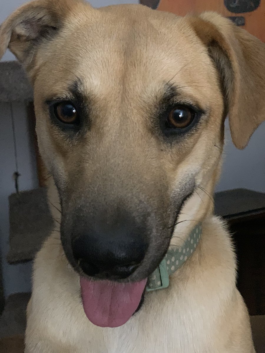 🍎 Uncle Speed 🌟 tweet media