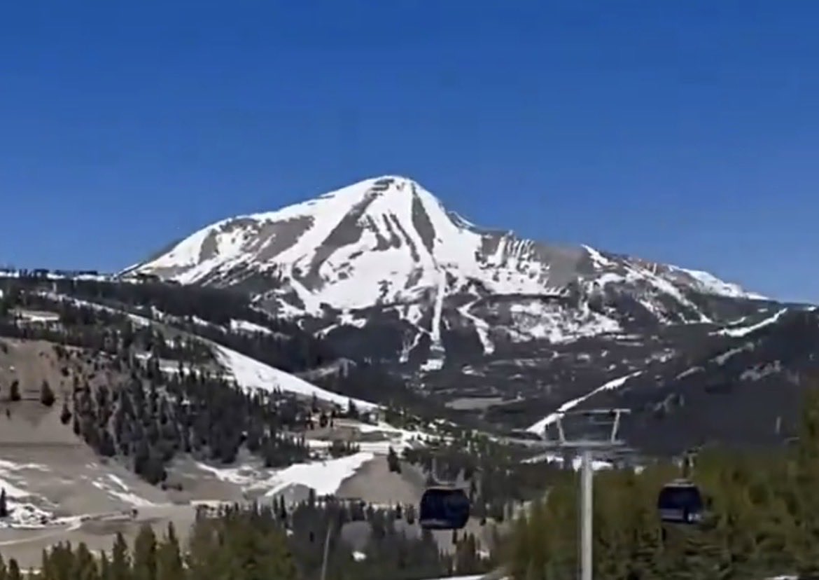 Orochi Markle 大蛇 tweet media