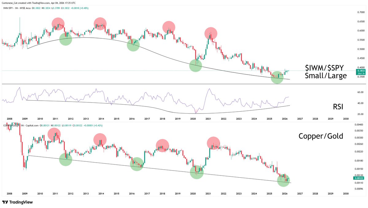 Cantonese Cat 🐱🐈 tweet media