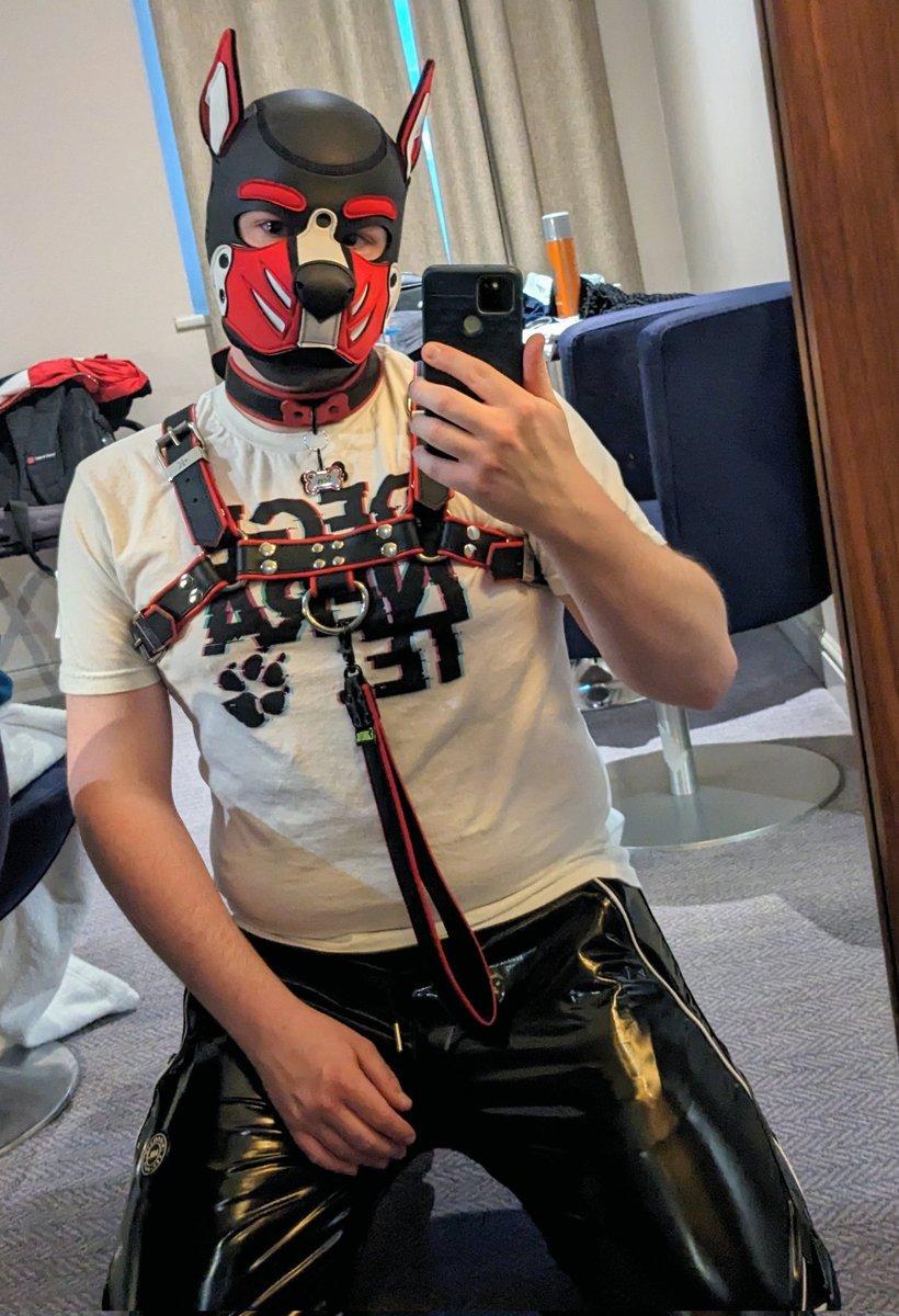 Pup Scev tweet media