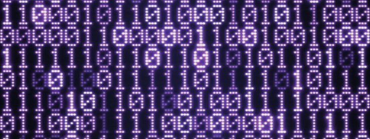 warper 𖦹 tweet media