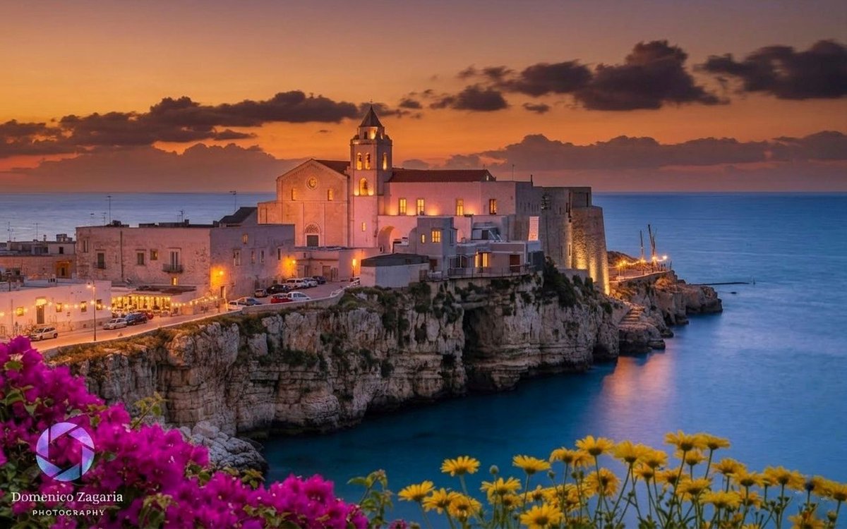 ruggiero filannino tweet media