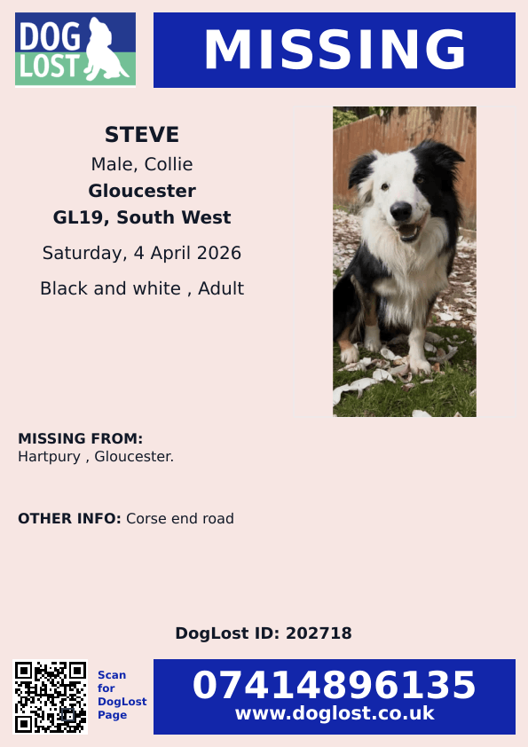 millypod1's tweet photo. ๐4 APR 2026 #Lost Steve #ScanMe
Collie Male
Corse End Road #Hartpury #Gloucester #Gloucestershire #GL19
https://t.co/SCZ9lUoqpz https://t.co/qCsIYXlbXI